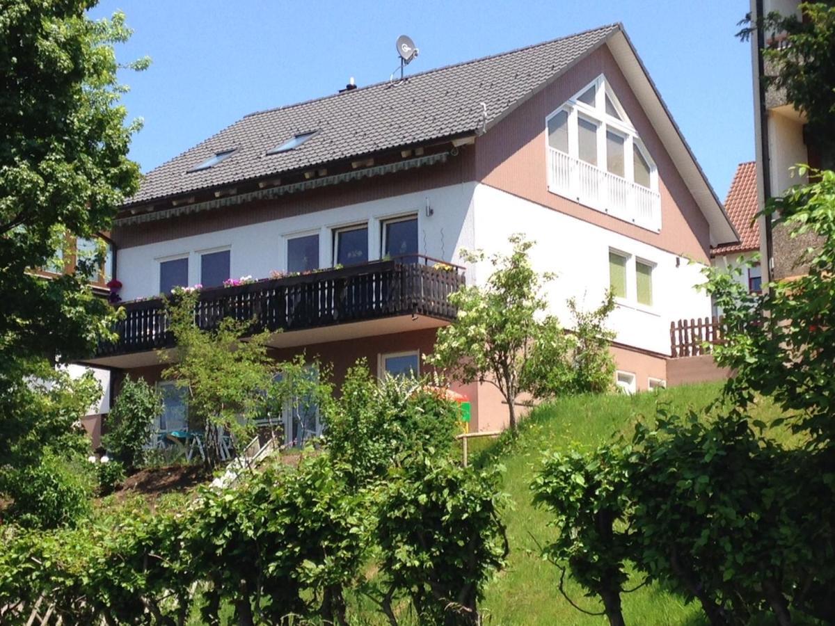 Haus Talblick Apartman Freudenstadt Kültér fotó